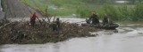 Trwa usuwanie zatoru na Nysie Kłodzkiej w Lewinie Brzeskim. Zobacz film i zdjęcia