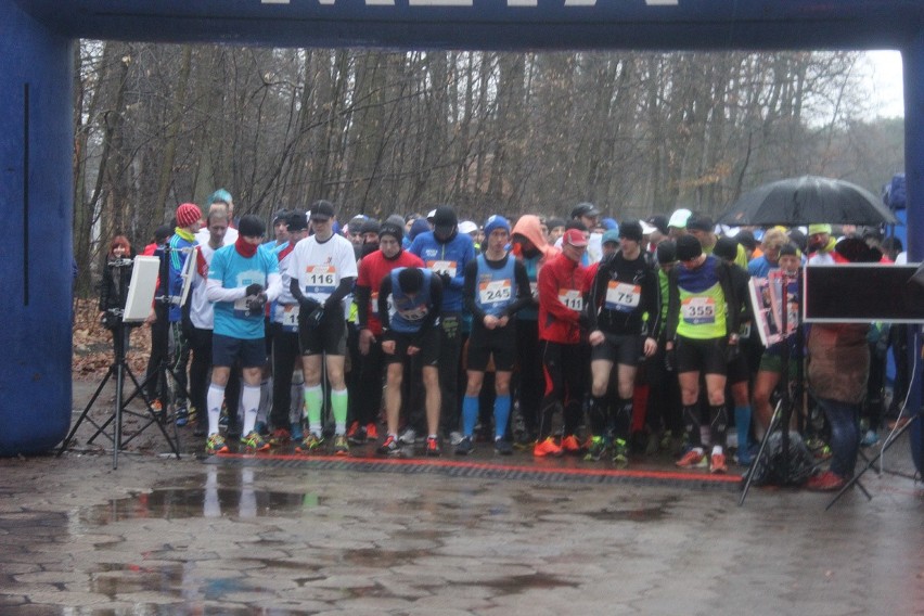 Puchar Maratonu Dbam o Zdrowie 2015/2016. Bieg na 10 km