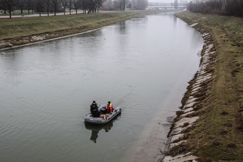 W czwartek na Wisłoku w Rzeszowie policjanci wznowili...