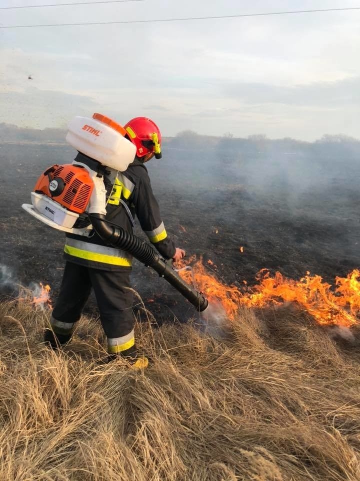 Kolejne pożary traw i nieużytków w gminie Jedlińsk. Straż gasi ogień w Wielogórze i Wsoli