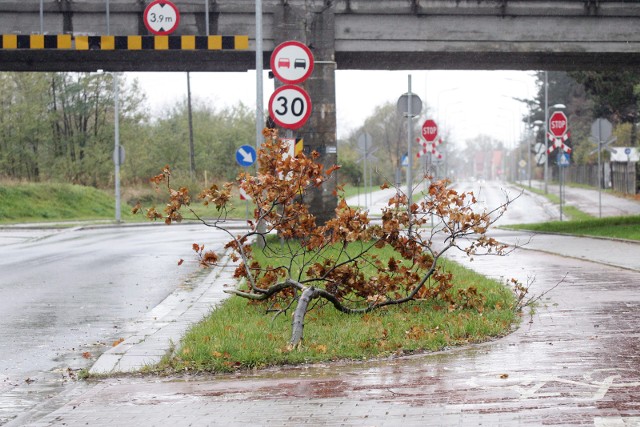 IMGW ostrzega przed silnym wiatrem w woj. Kuajwsko-Pomorskim. 9 marca możliwe są również burze. 