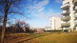 W Poznaniu powstanie park kieszonkowy z przyrodą ruderalną - czyli rosnącą na gruzach! Będzie on przy ul. Inflanckiej i Rzeczańskiej