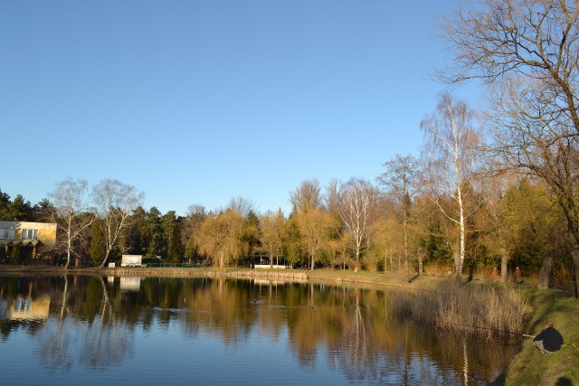 W Parku Kuronia w Sosnowcu jest wiele miejsc, w którym można łowić ryby. Często swój wolny czas spędzają tutaj wędkarze
