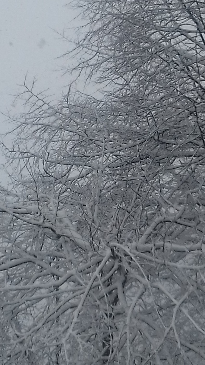 Lublin zasypany śniegiem. Czekamy na Wasze zdjęcia!