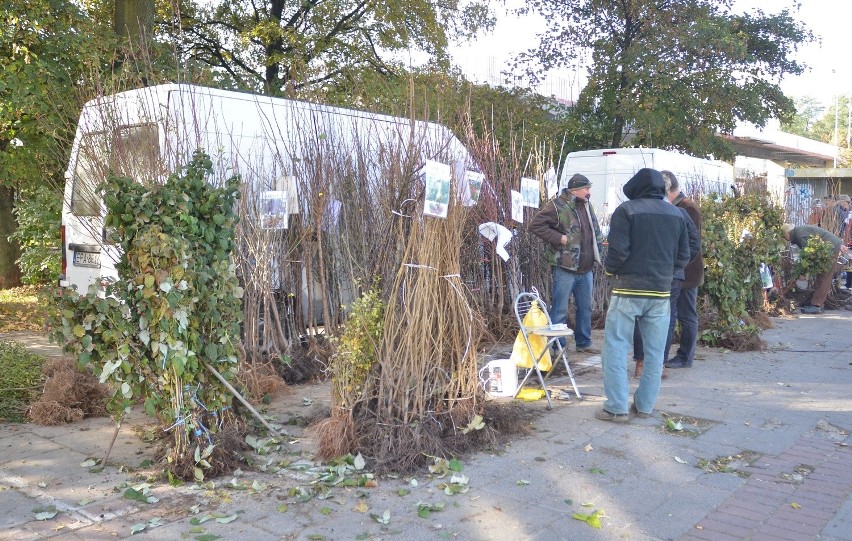 Jesienny "Kiermasz Działkowca" pod łódzką Halą Sportową [ZDJĘCIA]