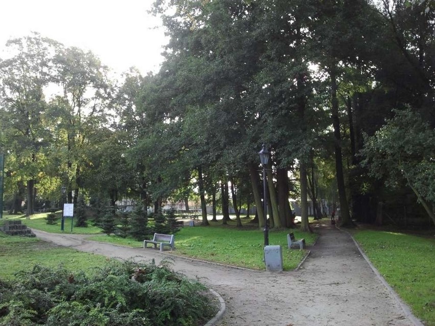 Park przy Grunwaldzkiej 250/252