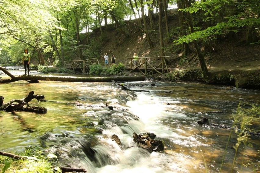 Wschodni Szlak Rowerowy Green Velo: Piękne roztocze i Szumy nad Tanwią [odc. 7 – woj. lubelskie]