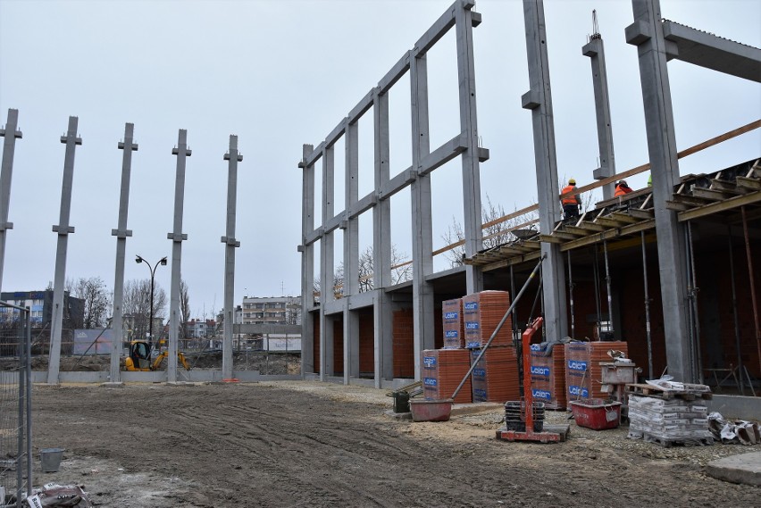 Budowa nowej hali sportowej w miejscu Cieplaka w Opolu