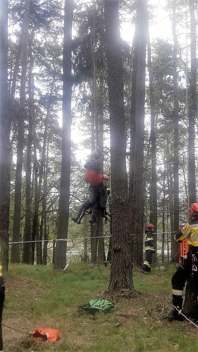 Spadochroniarz na drzewie w Rybniku