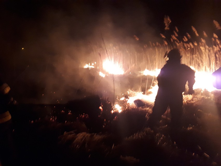 Niespokojny dzień dla pińczowskich strażaków. Było kilka poważnych pożarów, w tym stodoły w miejscowości Zawarża [ZDJĘCIA]