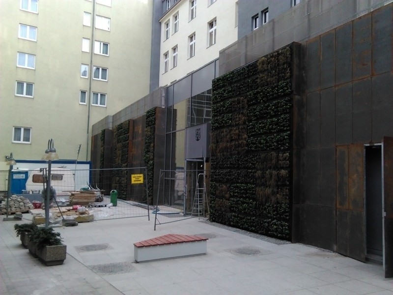 Wrocław: Zielona ściana urzędu miejskiego już gotowa (ZDJĘCIA)