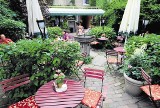 Wroniecka: Restauratorzy chcą pozwolenia na ustawienie stolików na ulicy