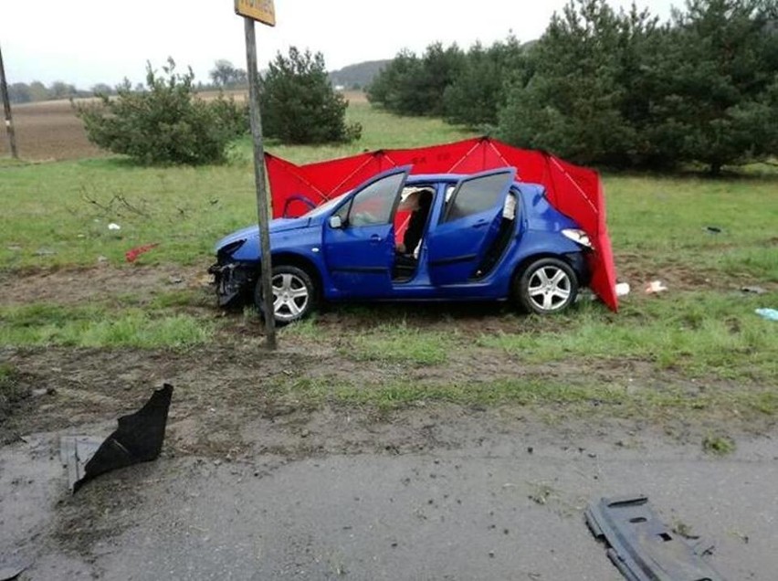 Do zderzenia pojazdów doszło na wysokości miejscowości...