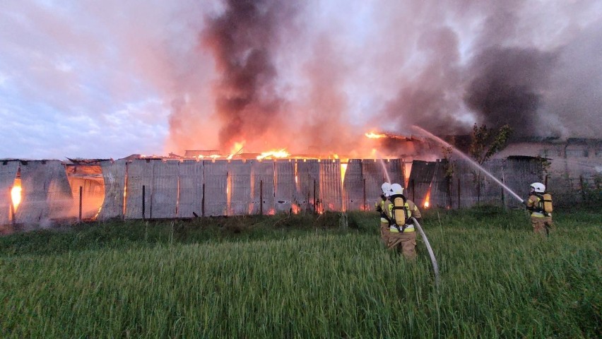 Pożar stolarni w Łubnej. Straty oszacowano na 5 milionów...