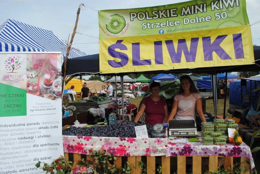 Z bydgoskiego Fordonu do Strzelec Dolnych dojechać można...