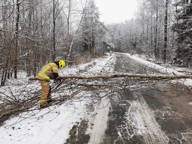 Strażacy z Przysuchy usuwali gałęzie drzew opadłych na drogę w okolicach Ruskiego Brodu.