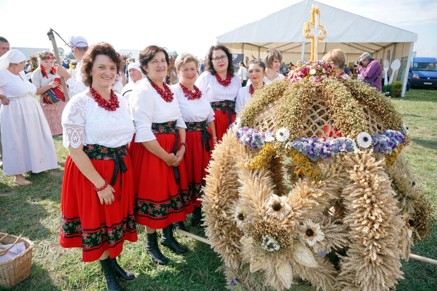 Lubelskie dożynki wojewódzkie 2020 w cieniu pandemii. Ograniczenia i brak koncertów