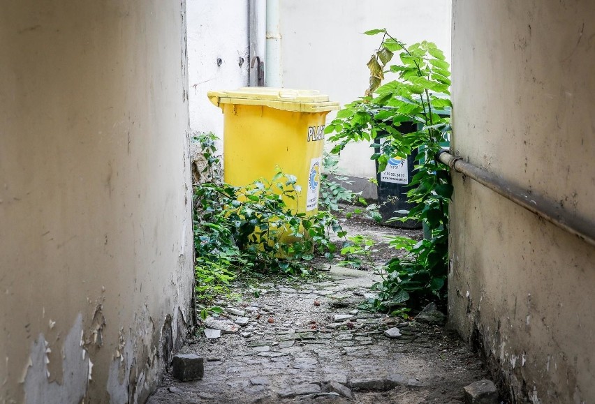 Szczecin. Przed radnymi decyzja o zmianach w segregacji odpadów. Z plastikiem ma być prościej. Jak w Szczecinie będziemy segregować śmieci?