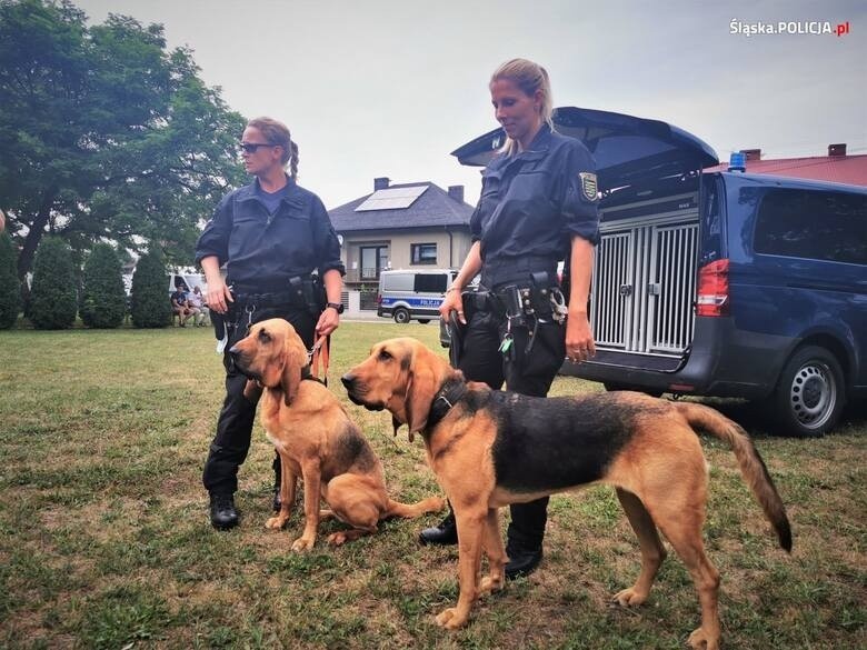 Dwie osoby zgłosiły, że widziały Jaworka w podłódzkich Brzezinach. Policjanci sprawdzali zgłoszenia