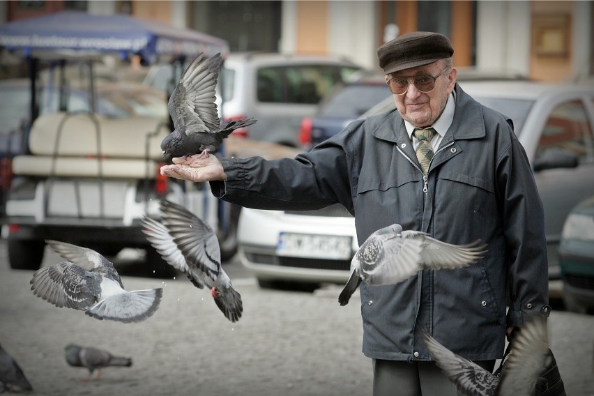 Dokarmianie ptaków to błąd! Możemy wyrządzić im krzywdę [FOTO]