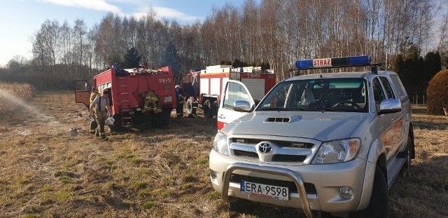 Strażacy z Radomska gasili pożar nieużytków przy ul. Stara Droga.