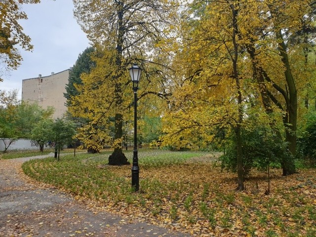 Dziś Hyde Park jest w parku im. Sienkiewicza.