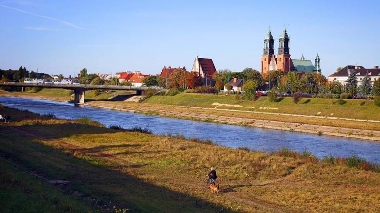 Stare Miasto: rewitalizacja starego koryta Warty - 200 tys....