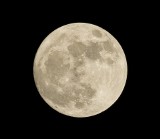Kwiatowa Pełnia Księżyca już 7 maja. Na nocnym niebie widoczny będzie Flower Moon. W maju zobaczymy Lirydy i dojdzie do koniunkcji planet