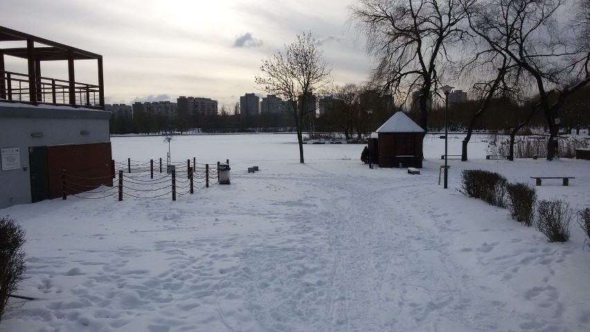 Świętochłowice: Zima zawitała nad staw Skałka [ZDJĘCIA]