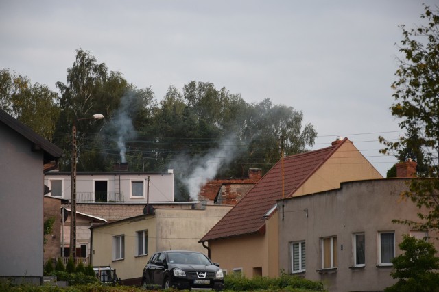 Urząd Miejski w Sępólnie uruchomił własny punkt konsultacyjny, w którym mieszkańcy mogą uzyskać porady w ramach programu Czyste Powietrze