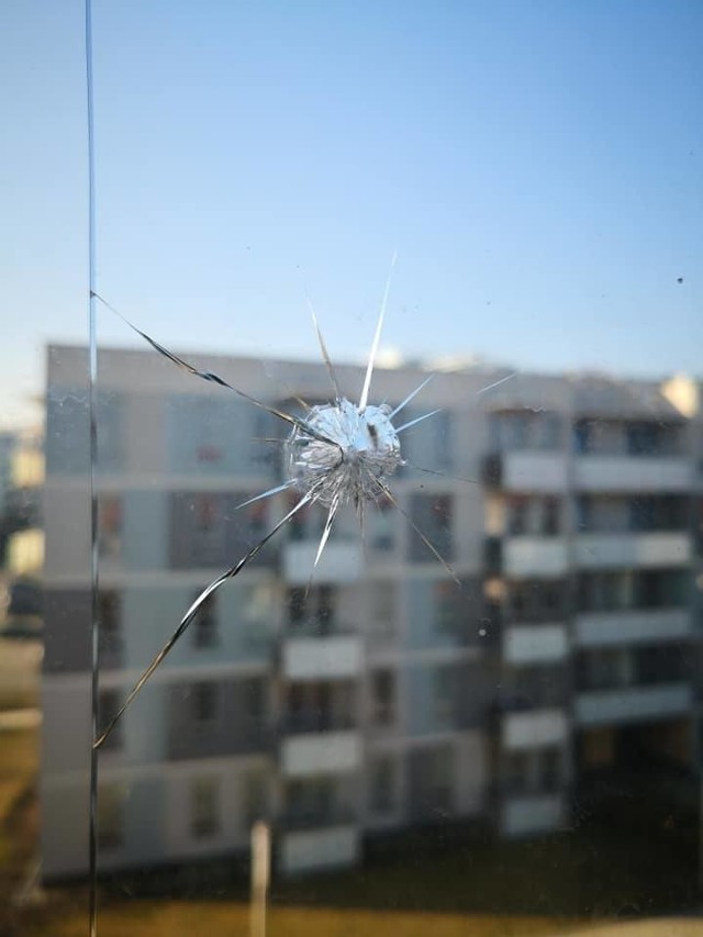 Chuligani strzelali m.in. do okien w blokach mieszkalnych.