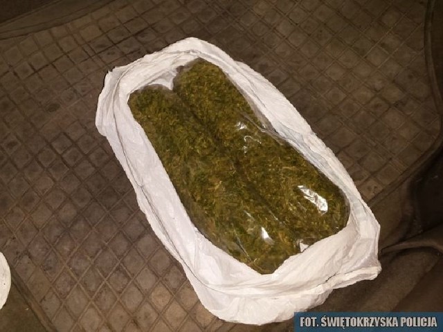 W skontrolowanymi nissanie policjanci znaleźli 200 gramów suszu zidentyfikowanego jako marihuana