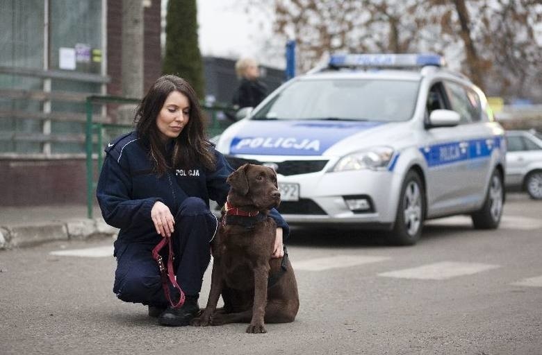 Z naszego obszernego archiwum zdjęć wybraliśmy fotografie...