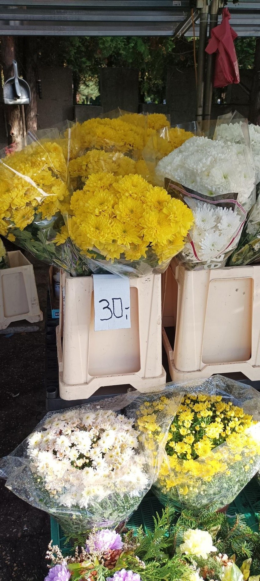 Ceny kwiatów na Cmentarzu Komunalnym w Katowicach.