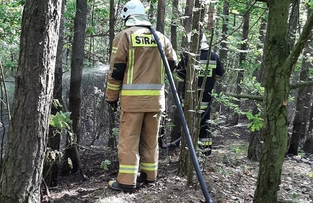 Strażacy między z OSP w Wieniawie dogaszali w sobotę pożar lasu w okolicy Skrzynna.
