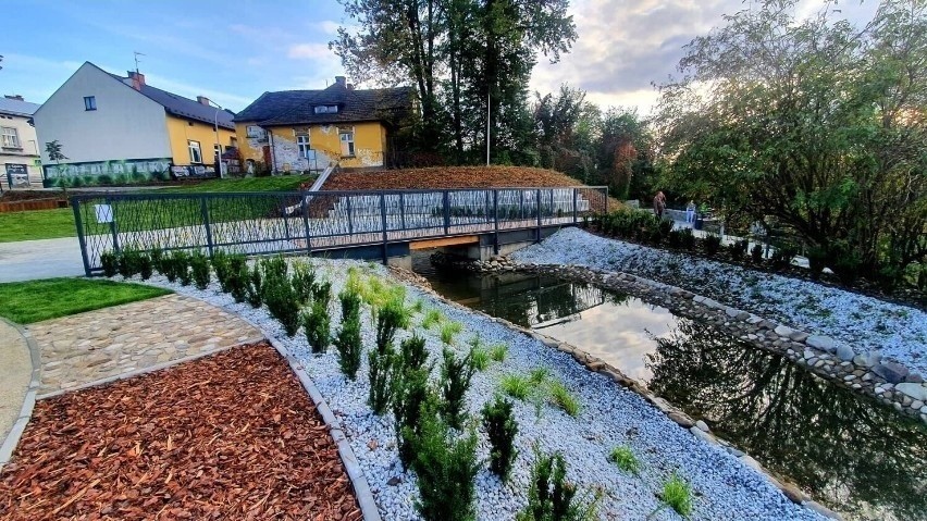 Nowy Sącz. Skandaliczne zachowanie kierowcy, wjechał na Kocie Planty i zrujnował odnowiony park. Trwa szacowanie strat [ZDJĘCIA]