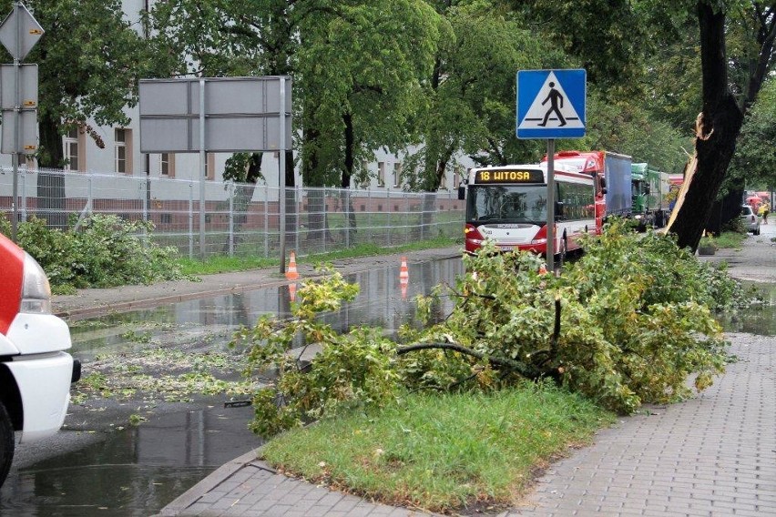 Strażacy usuwali drzewa z dróg i posesji w Opolu.