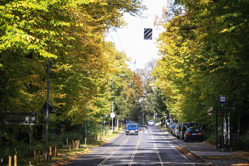 Co się dzieje w nadchodzący weekend? Sprawdź!...