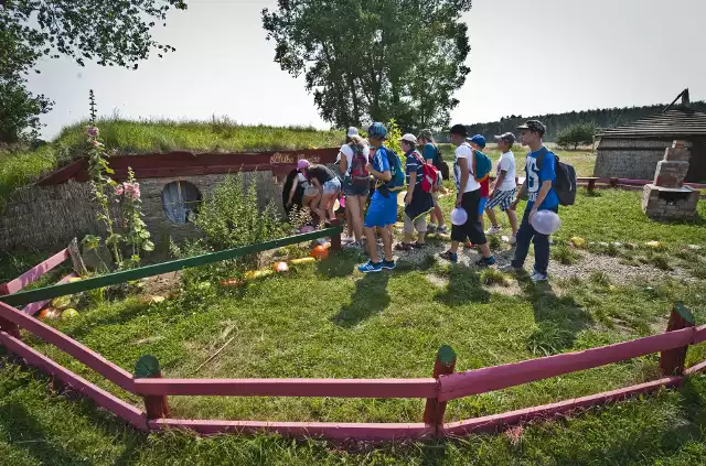 Bilbo był zamożnym hobbitem, mniejszym od krasnoluda. Jak pomieszkiwał? Sprawdź!