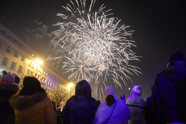 Fajerwerki rokrocznie są przyczyną śmierci dzikich zwierząt.