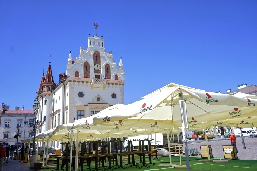 Ceny w ogródkach piwnych poszybują w górę? Niestety, na...