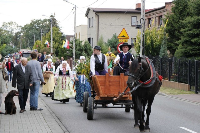 Katowickie Dożynki 2017