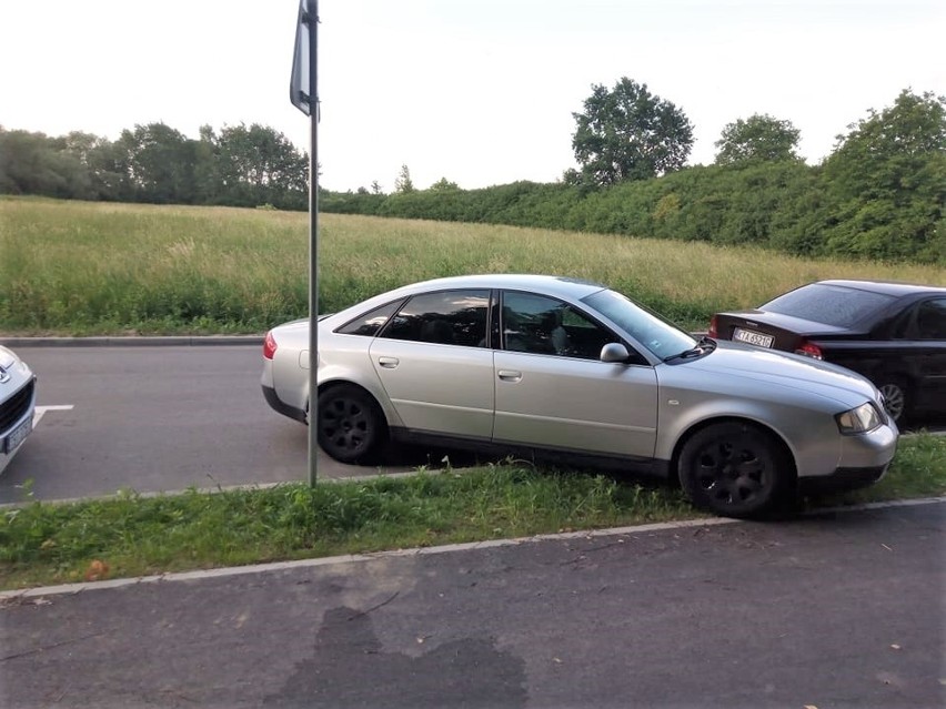 Tak wyglądało parkowanie nad Jeziorem Tarnobrzeskim w...
