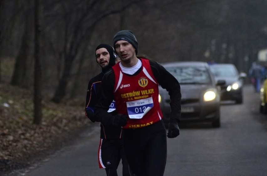 Enea Tri Tour Winter Run w Poznnaiu: Biegacze ścigali się na...