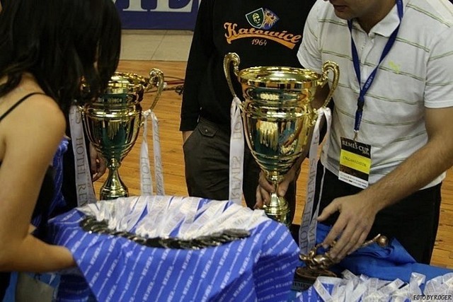 Remes Cup Ekstra 2011