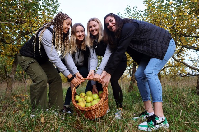 Gorzowskie koszykarki skosztowały w sadzie renety landsberskiej. Twierdzą, że hodowane u nas jabłka są pyszne!