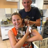 Kotki z Hiszpanii uratowane w Starachowicach są już gotowe do adopcji