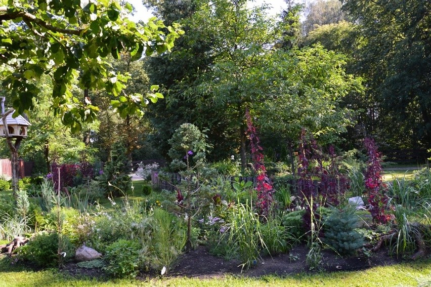 Urokliwy ogród naszej Czytelniczki. Czekamy na kolejne zgłoszenia