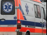Groźne zderzenie z łosiem w Chmielniku. Dwie osoby w szpitalu