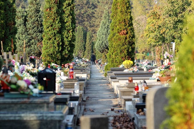 Jak kształtuja sie ceny związane z usługami cmentarnymi w województwie śląskim? Zobacz informacje zebrane w kilku miastach. Zobacz kolejne zdjęcia. Przesuwaj zdjęcia w prawo - naciśnij strzałkę lub przycisk NASTĘPNE